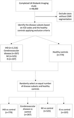 New Imaging Signatures of Cardiac Alterations in Ischaemic Heart Disease and Cerebrovascular Disease Using CMR Radiomics